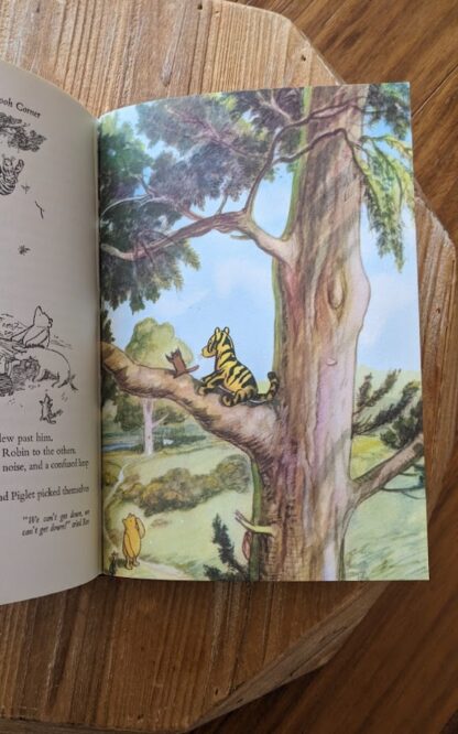 Colour Illustration of Tigger up in a tree - 1973 The World of Pooh A.A. Milne, Methuen UK Edition with Colour Plates
