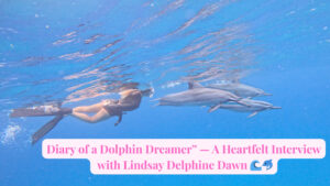 Diary of a Dolphin Dreamer — A Heartfelt Interview with Lindsay Delphine Dawn - feature Image for Interview Vlog on Ash Tree Books