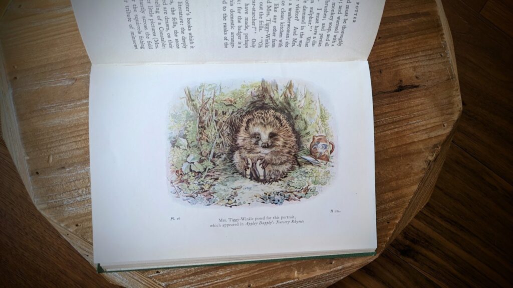 Mrs. Tiggy-Winkle - 1948 The Tale of Beatrix Potter - A Biography by Margaret Lane