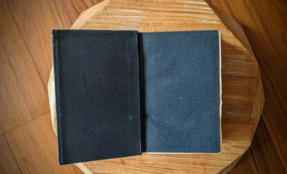 front pastedown and endpaper - c. 1900s Andersen’s Fairy Stories Ward, Lock & Co. - rare copy