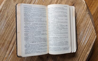 pages inside - 1928 Ninth Revised Edition — A Pocket Medical Dictionary by George M. Gould