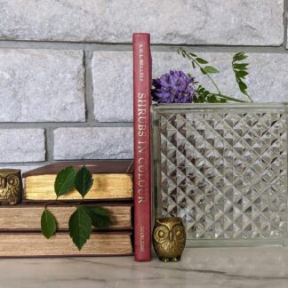 1966 First American Edition – Shrubs in Colour by A. G. L. Hellyer - 264 Watercolour Colour Paintings