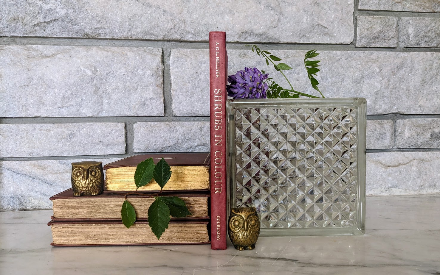 1966 First American Edition – Shrubs in Colour by A. G. L. Hellyer - 264 Watercolour Colour Paintings