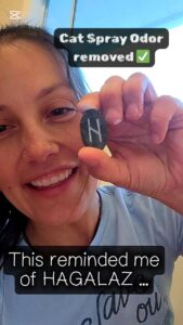 How I beat cat spray smell - and reflecting on the Rune Hagalaz - Ash Tree Runes