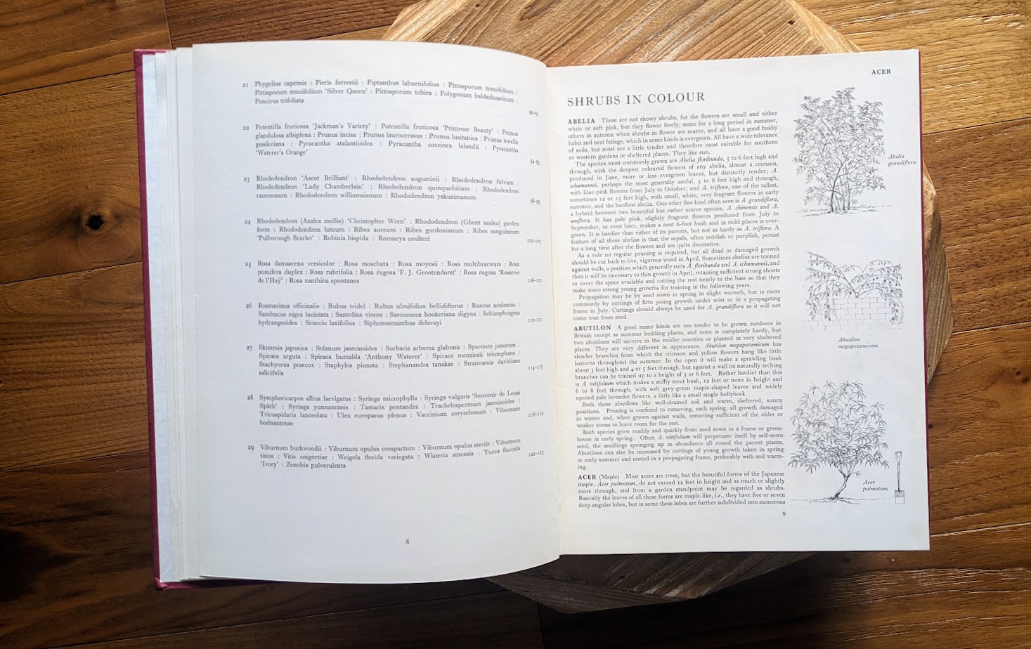Page 3 of 3 of the list of plates and Intro - 1966 First American Edition – Shrubs in Colour by A. G. L. Hellyer - 264 Watercolour Colour Paintings