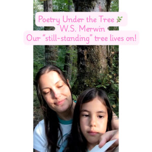 Reading from The Rain in the Trees by W.S. Merwin - Ash Tree Books