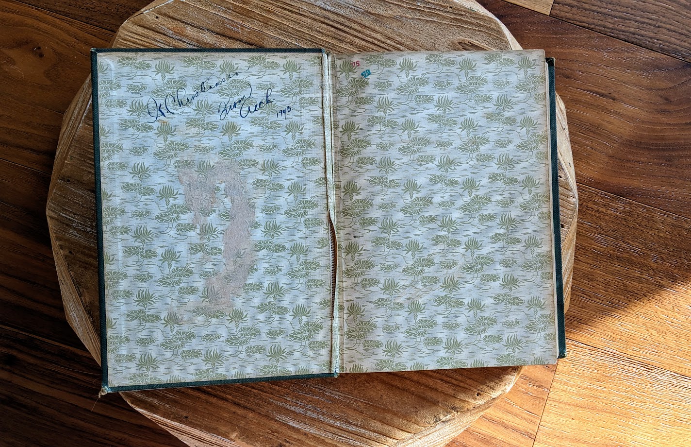 front pastedown and endpaper - 1911 Alpine Flora by Correvon & Robert — 180 Colour Plates, Scarce Botanical Work