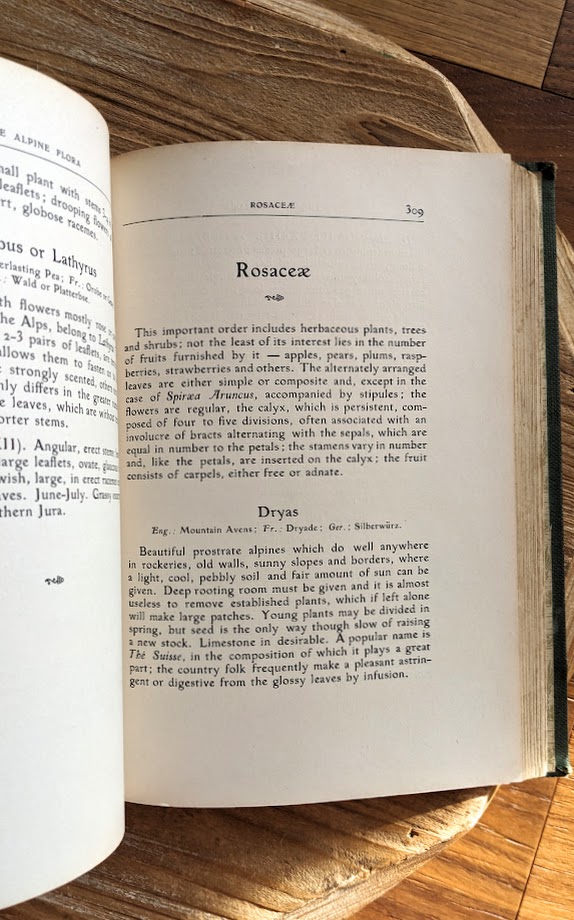 page inside - 1911 Alpine Flora by Correvon & Robert — 180 Colour Plates, Scarce Botanical Work
