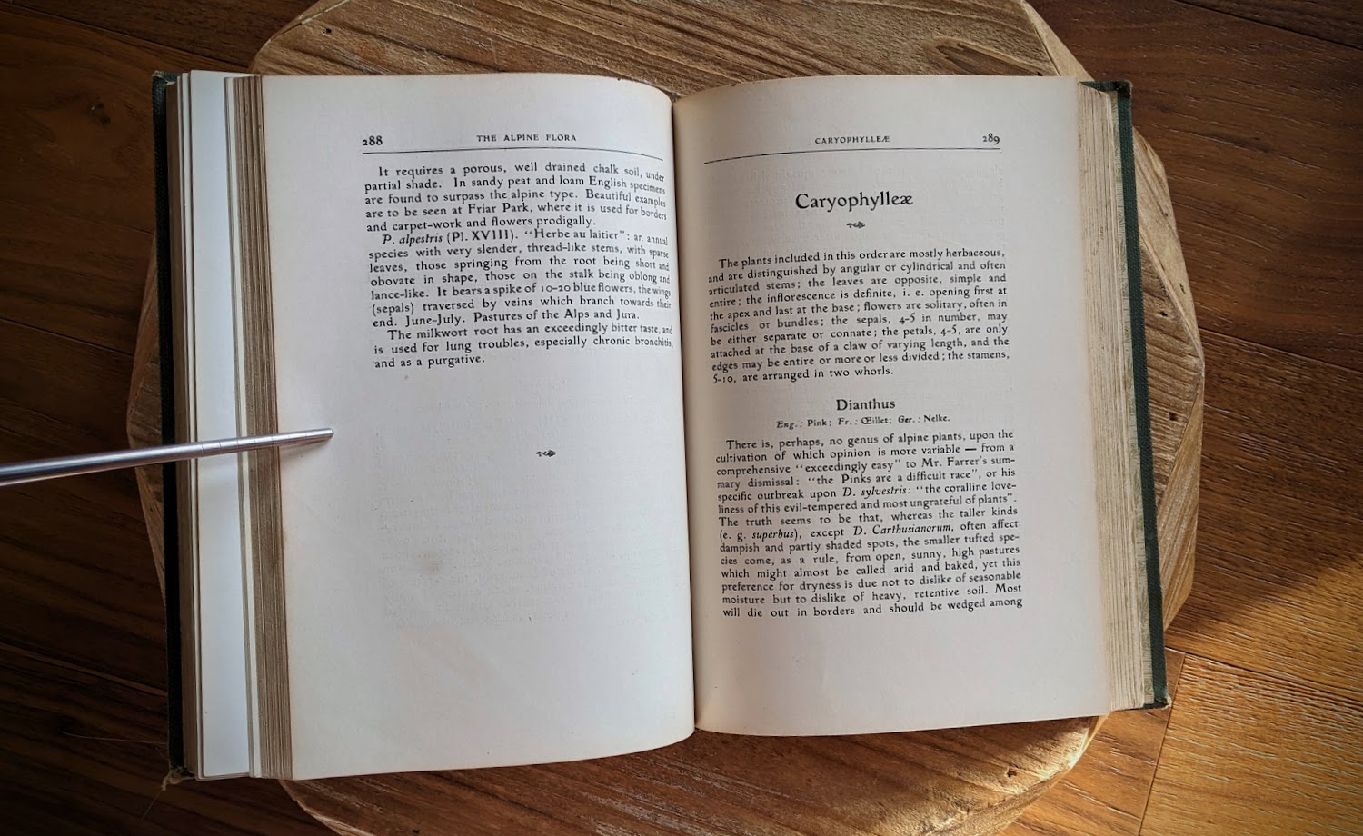 pages inside - 1911 Alpine Flora by Correvon & Robert — 180 Colour Plates, Scarce Botanical Work