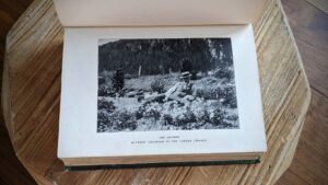 photograph of the author - 1911 Alpine Flora by Correvon & Robert — 180 Colour Plates, Scarce Botanical Work