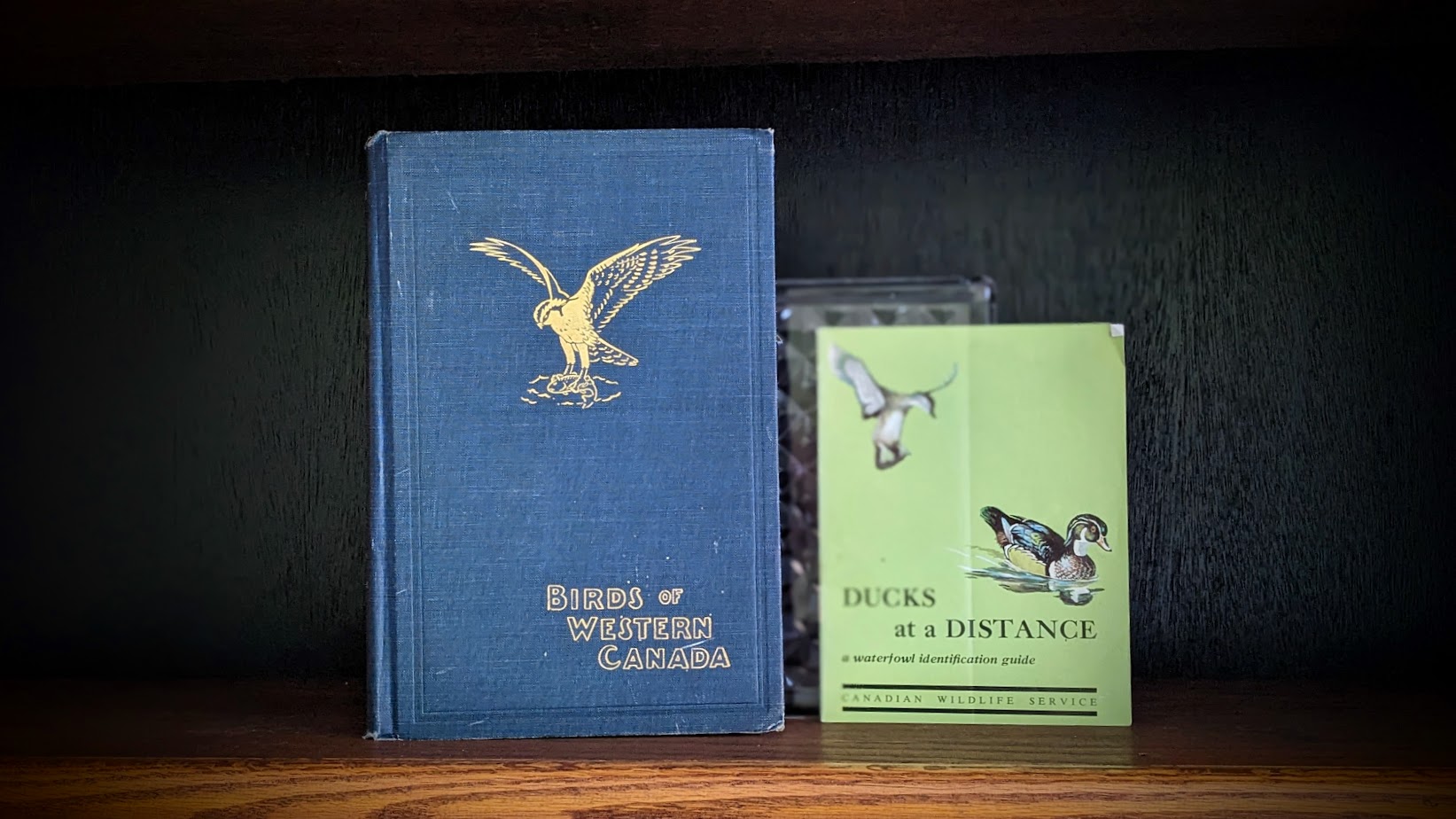 1928 Birds of Western Canada – P.A. Taverner - Second Edition