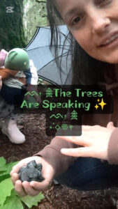 Elder Futhark Rune Toss in the Forest - The Trees Are Speaking - Ash Tree Runes