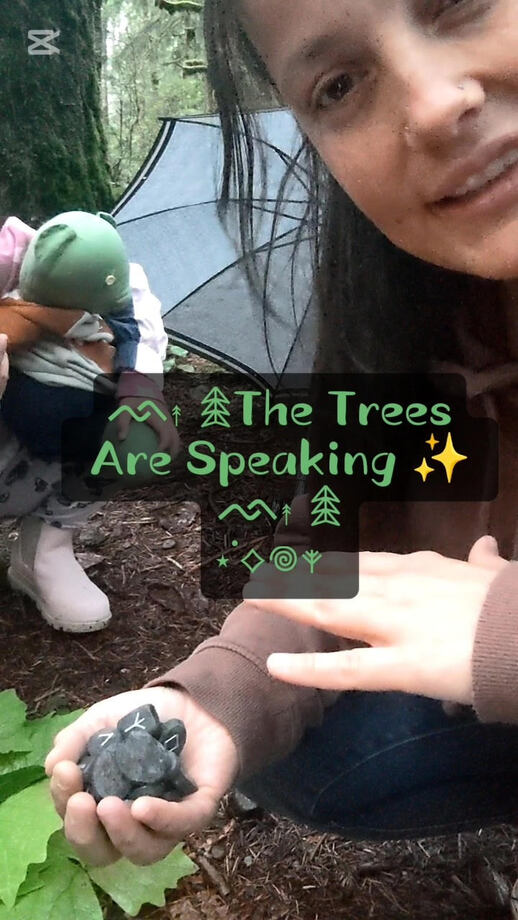 Elder Futhark Rune Toss in the Forest - The Trees Are Speaking - Ash Tree Runes