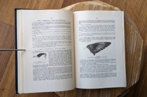 pages inside - 1928 Birds of Western Canada – P.A. Taverner - Second Edition