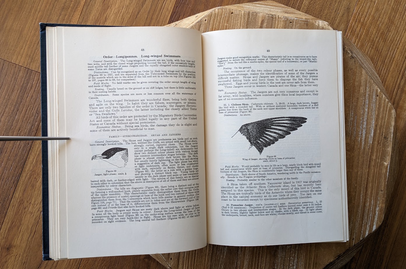 pages inside - 1928 Birds of Western Canada – P.A. Taverner - Second Edition
