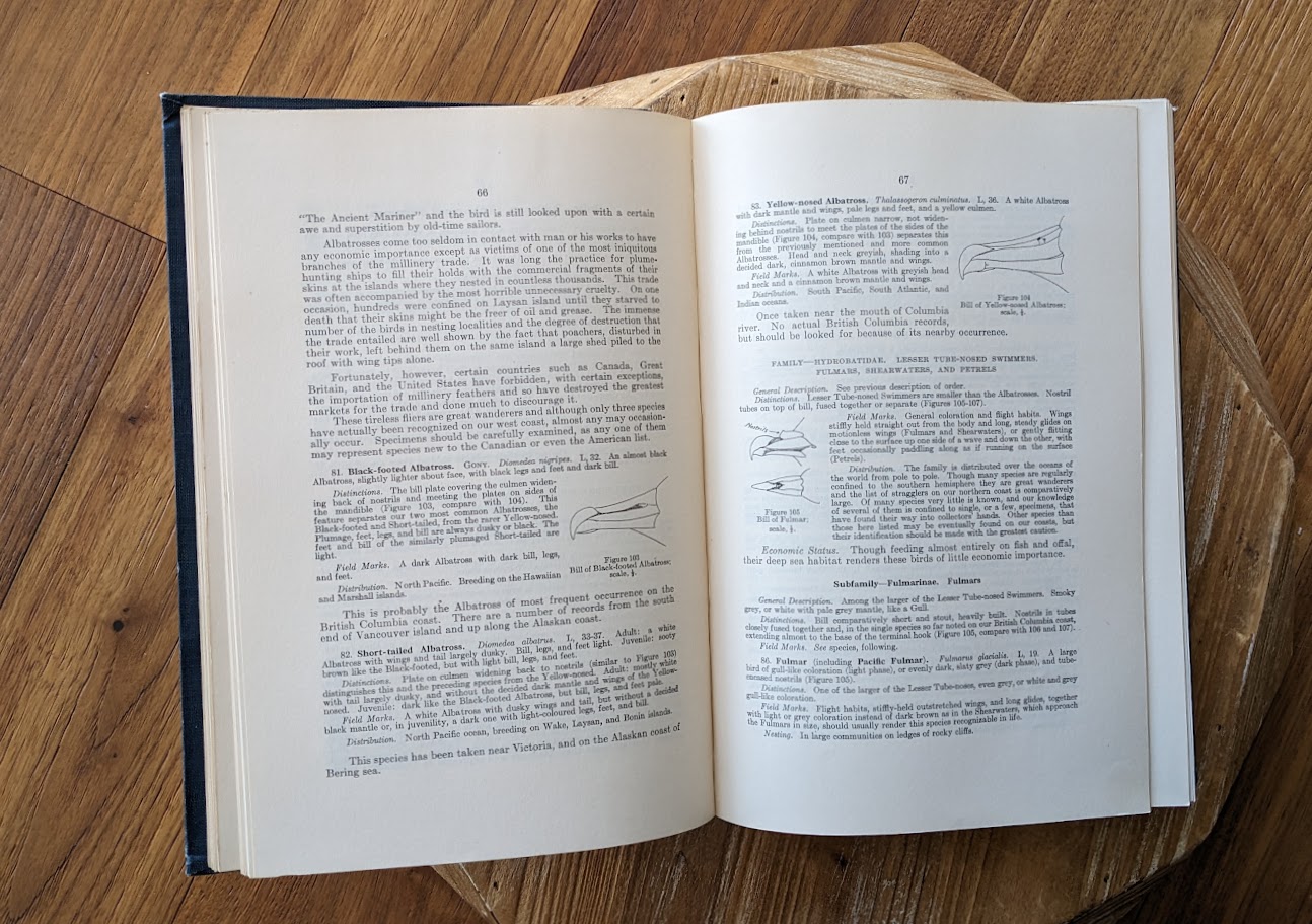 pages inside a 1928 copy of Birds of Western Canada – P.A. Taverner - Second Edition