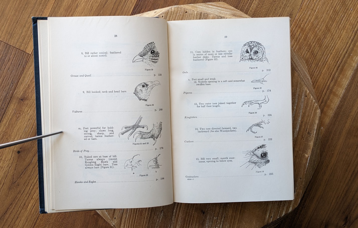 some pages inside a 1928 copy of Birds of Western Canada – P.A. Taverner - Second Edition