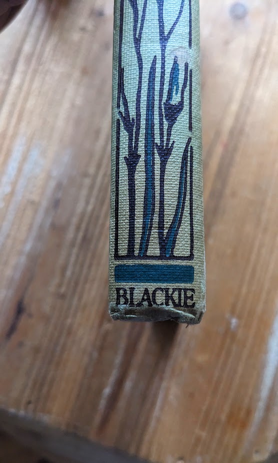 tail of spine - Little Miss Vanity by Mrs. Henry Clarke – Undated – Rare Copy - Blackie and Son Limited