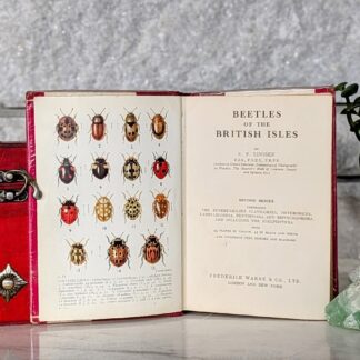 Title Page - 1959 Beetles of the British Isles by E. F. Linssen — First Edition - Series 2
