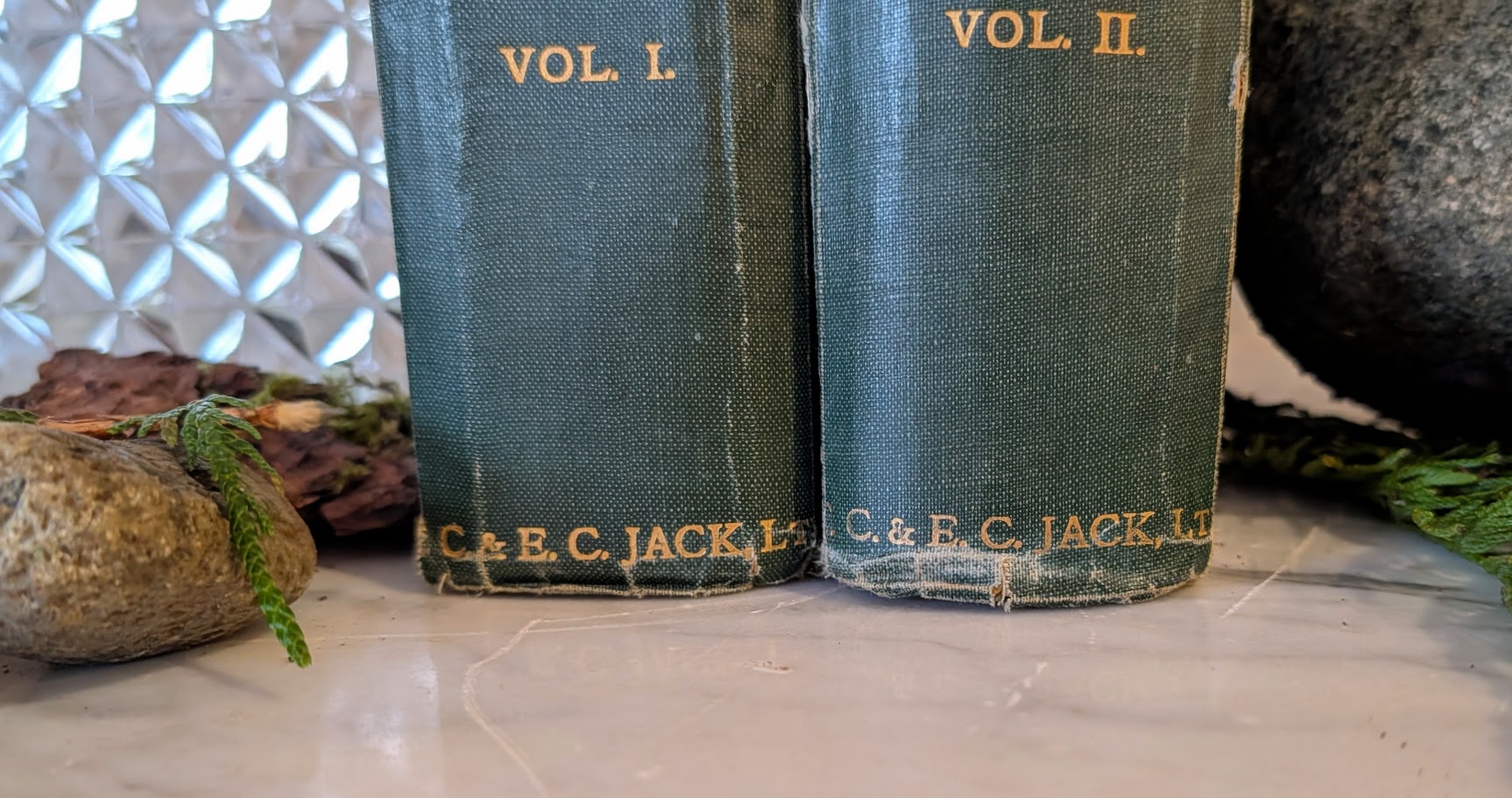 foot of spine - 1928 English Rock Garden by Reginald Farrer — Complete Two-Volume Set - fourth impression