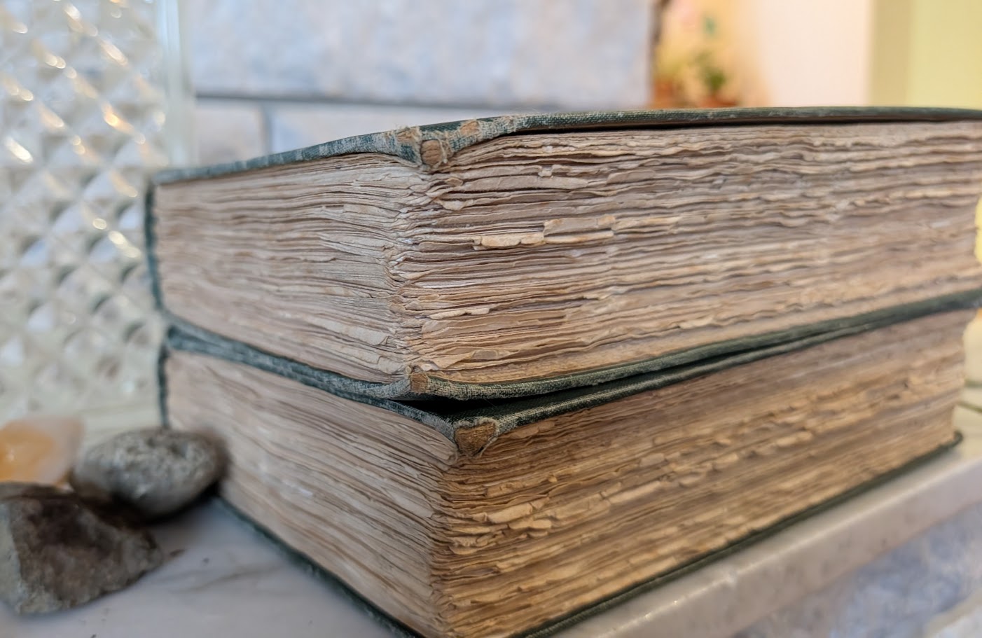 lower board corners - 1928 English Rock Garden by Reginald Farrer — Complete Two-Volume Set - fourth impression