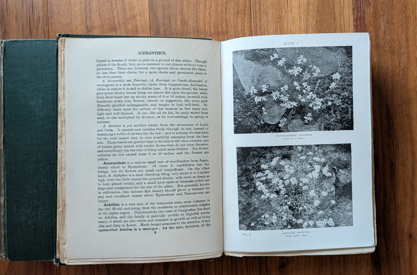 pages inside Vol I - 1928 English Rock Garden by Reginald Farrer — Complete Two-Volume Set - fourth impression