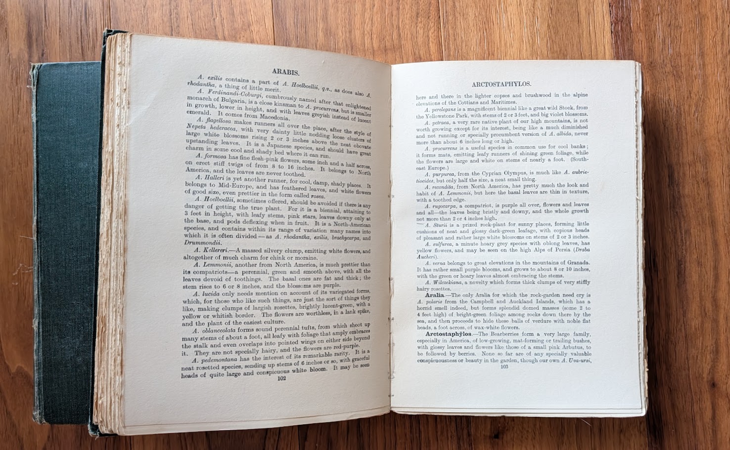 pages inside Volume I - 1928 English Rock Garden by Reginald Farrer — Complete Two-Volume Set - fourth impression