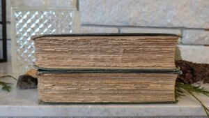 uncut textblock view - 1928 English Rock Garden by Reginald Farrer — Complete Two-Volume Set - fourth impression