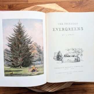 1954 The Friendly Evergreens by L.L. Kumlien - Published by Rinehart & Company Inc. - Title page
