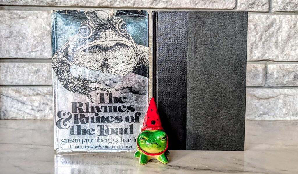 front panel - 1975 The Rhymes & Runes of the Toad by Susan Fromberg Schaeffer - First Printing - with DJ