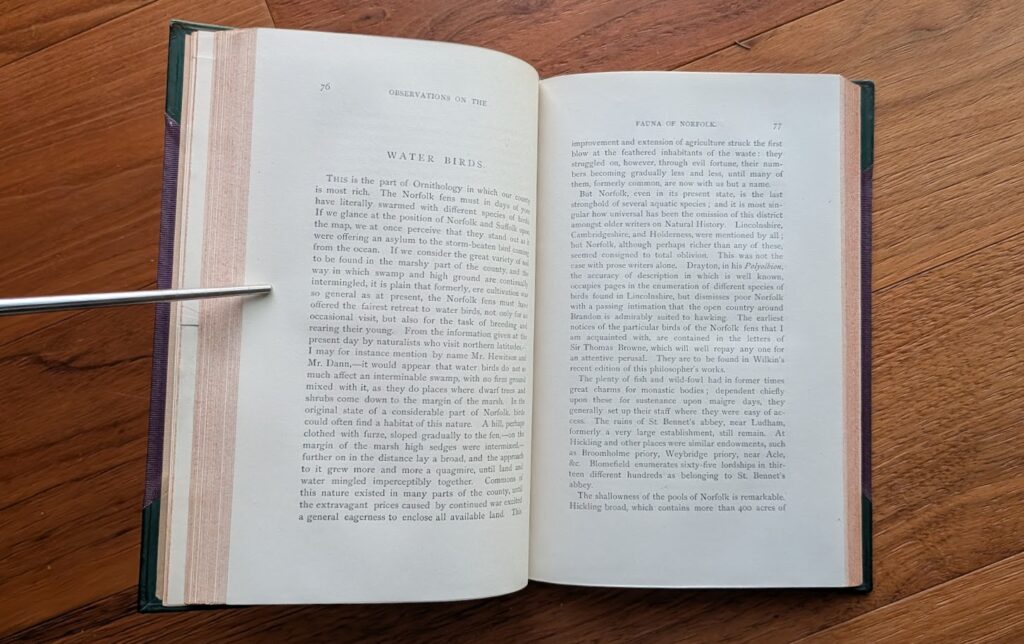 water birds - 1879 Observations on the Fauna of Norfolk By Rev. Richard Lubbock