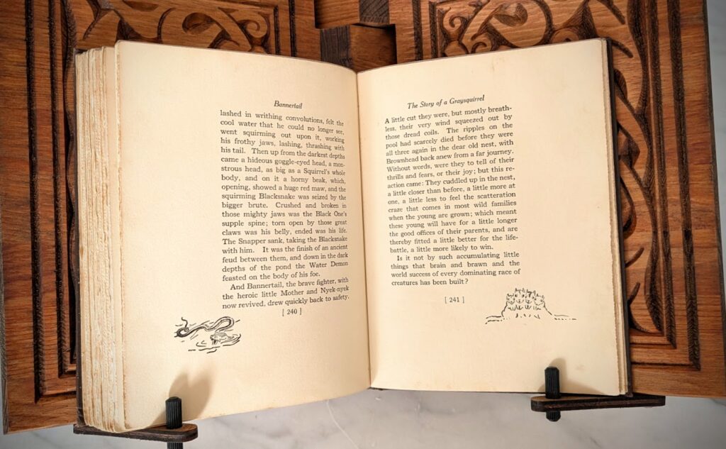 1922 BANNERATIL - The Story of a Gray Squirrel by Ernest Thompson Seton - pages inside