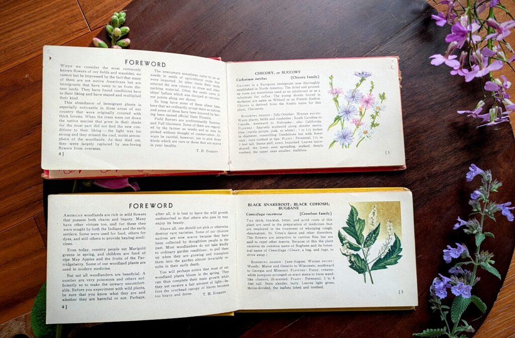 1945 Field Flowers and Woodland Flowers - T.H. Everett - foreword pages
