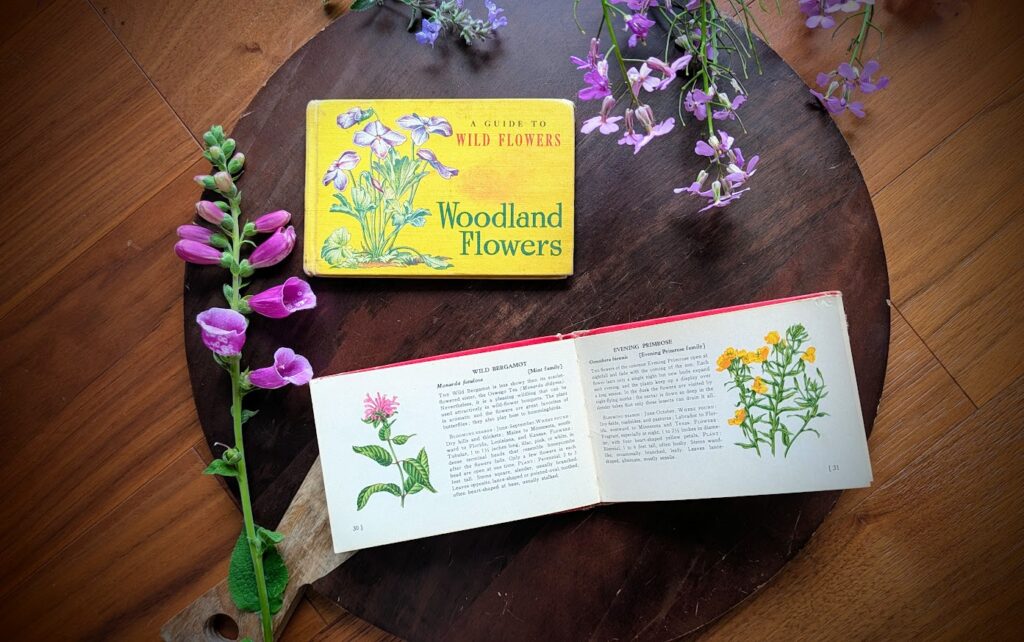 1945 Field Flowers and Woodland Flowers by T.H. Everett
