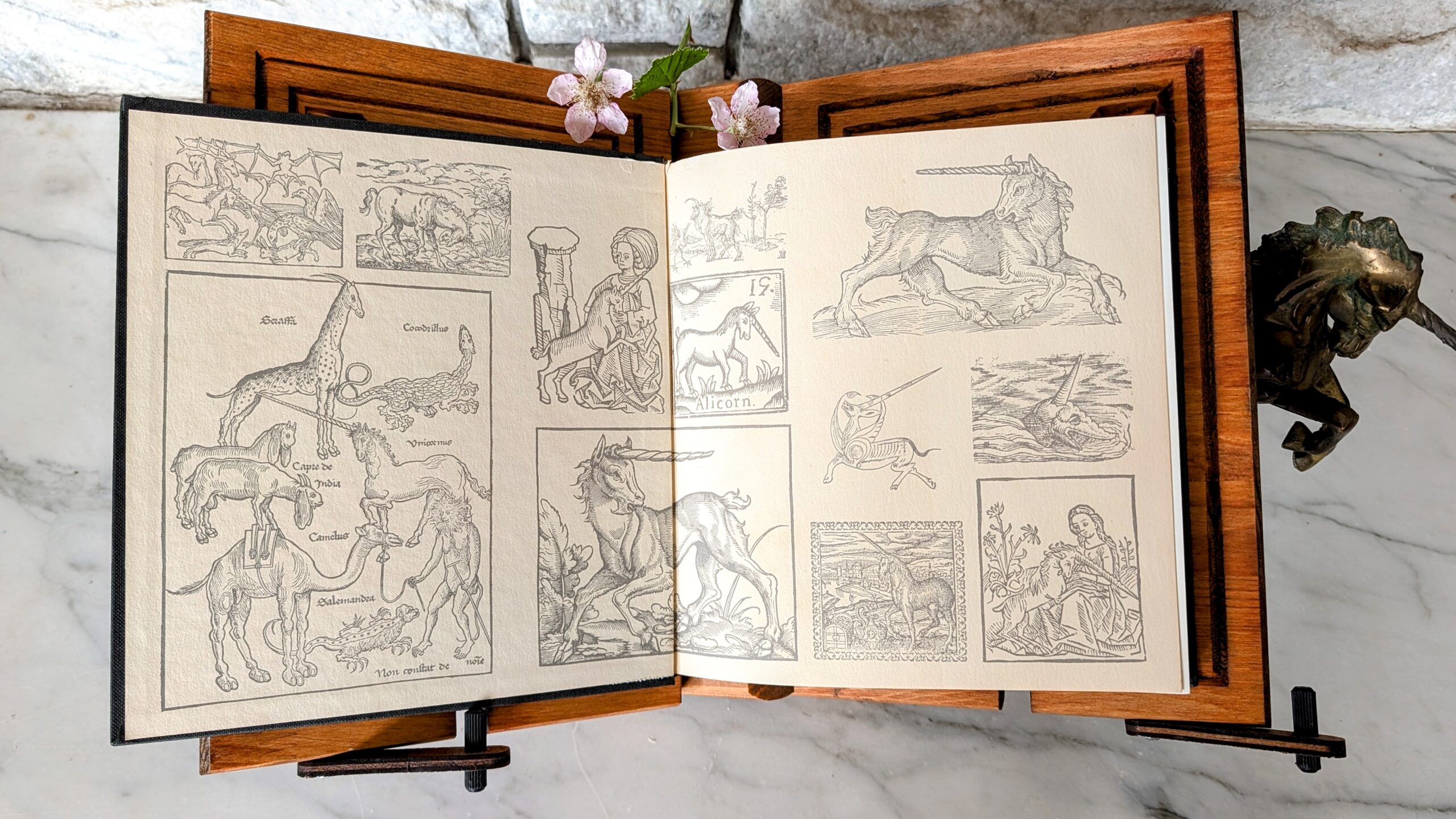 Front pastedown and endpaper - 1972 UNICORN - Myth and Reality by Rüdiger Robert Beer