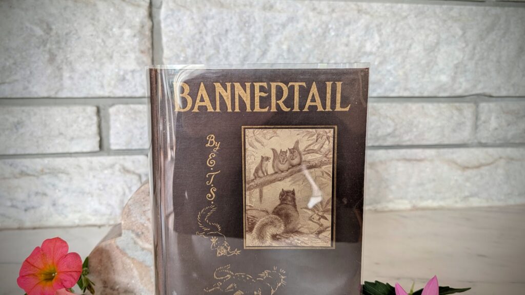 front panel up close - 1922 BANNERATIL - The Story of a Gray Squirrel by Ernest Thompson Seton