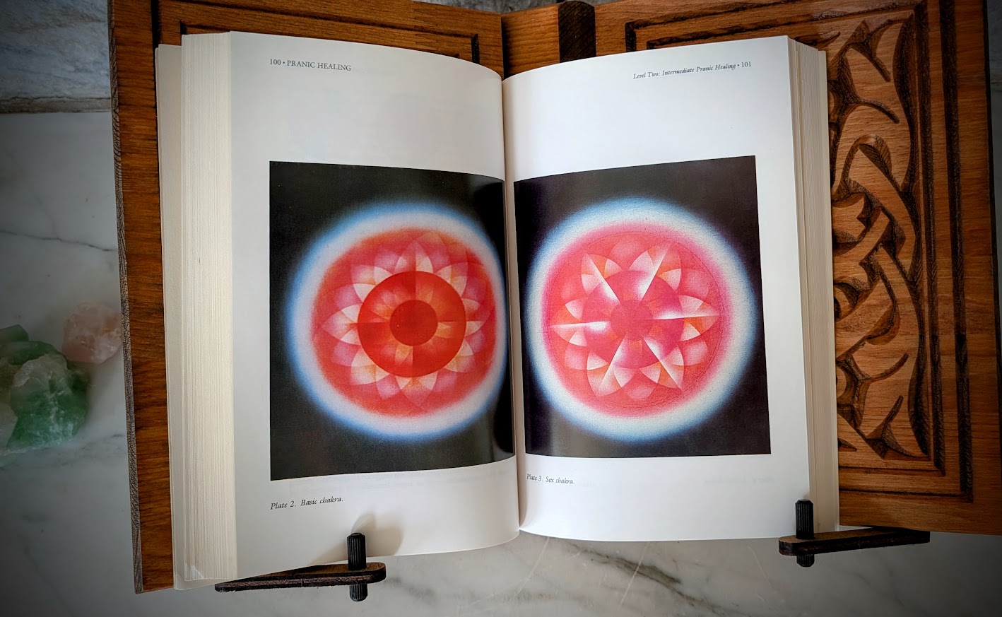 sex chakra -color plate inside - Pranic Healing by Choa Kok Sui - Published in 1990 by Samuel Weiser Inc