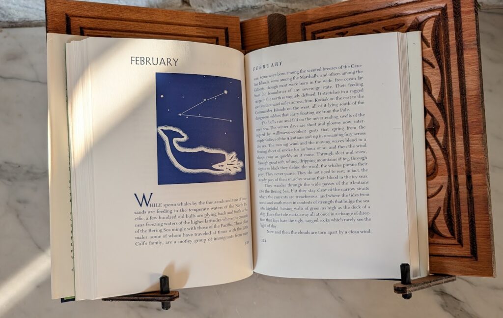 1969 The Year of the Whale by Victor B. Scheffer First Edition - pages inside