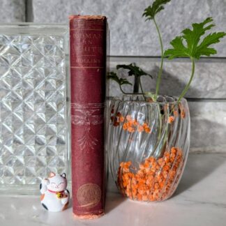 The Woman in White by Wilkie Collins - circa 1890s - William L. Allison Company - Spine View