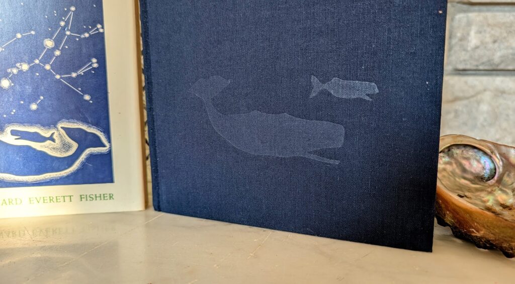front panel up close - 1969 The Year of the Whale by Victor B. Scheffer First Edition
