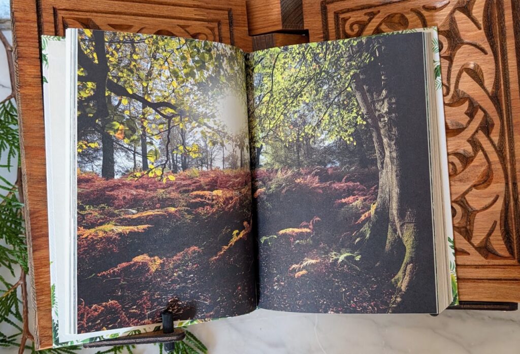 illustration inside - 2018 copy of Forest Bathing by Dr. Qing Li - third printing
